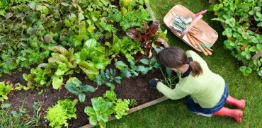 Lessons From the Garden: A Holistic Look at Nurturing Natural Beauty